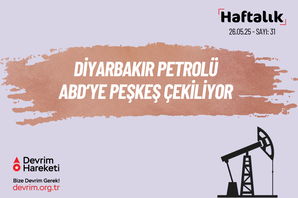 Haftalık_31