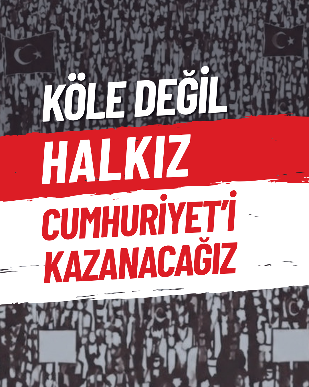 kole_degil_halk